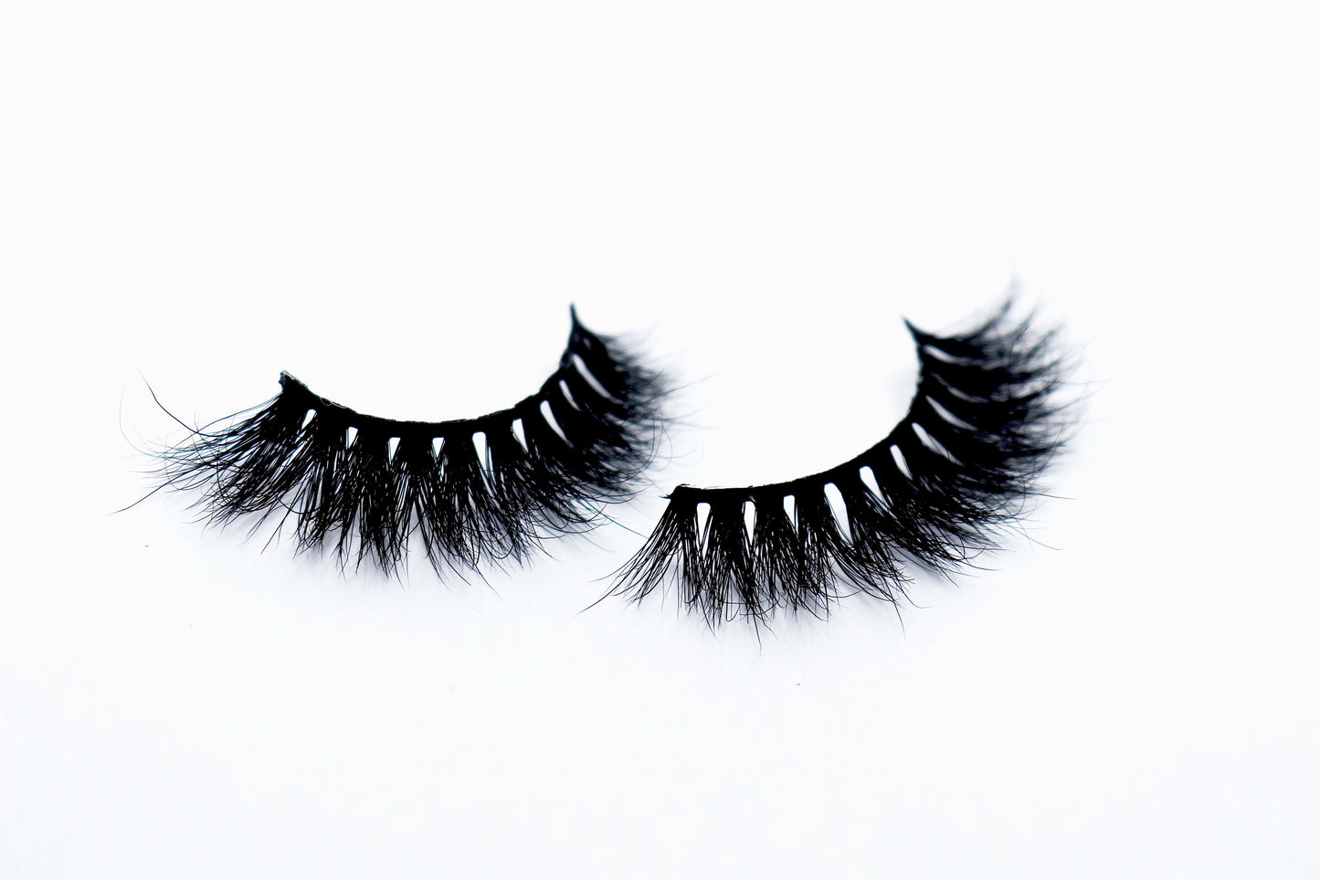 Limitless Lash